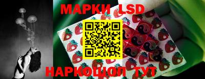 mdpv Кандалакша