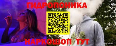 шишки Кинель