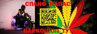 шишки Кинель