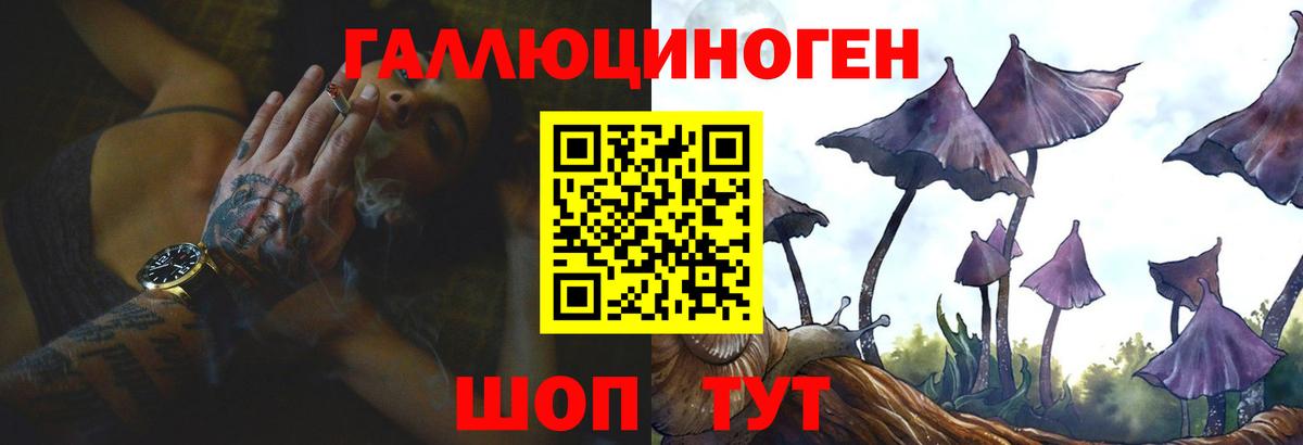 Галлюциногенные грибы Psilocybine cubensis Кстово